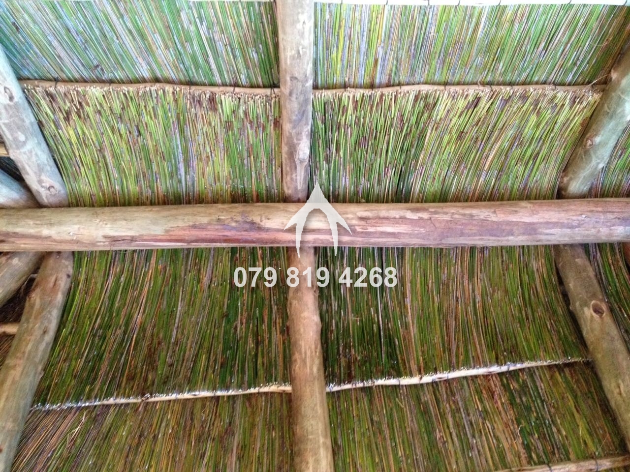 Transforming spaces into havens with Reed Ceilings & Braais synergy