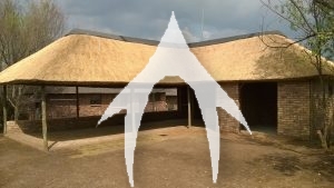 Thatch Entertainment Area